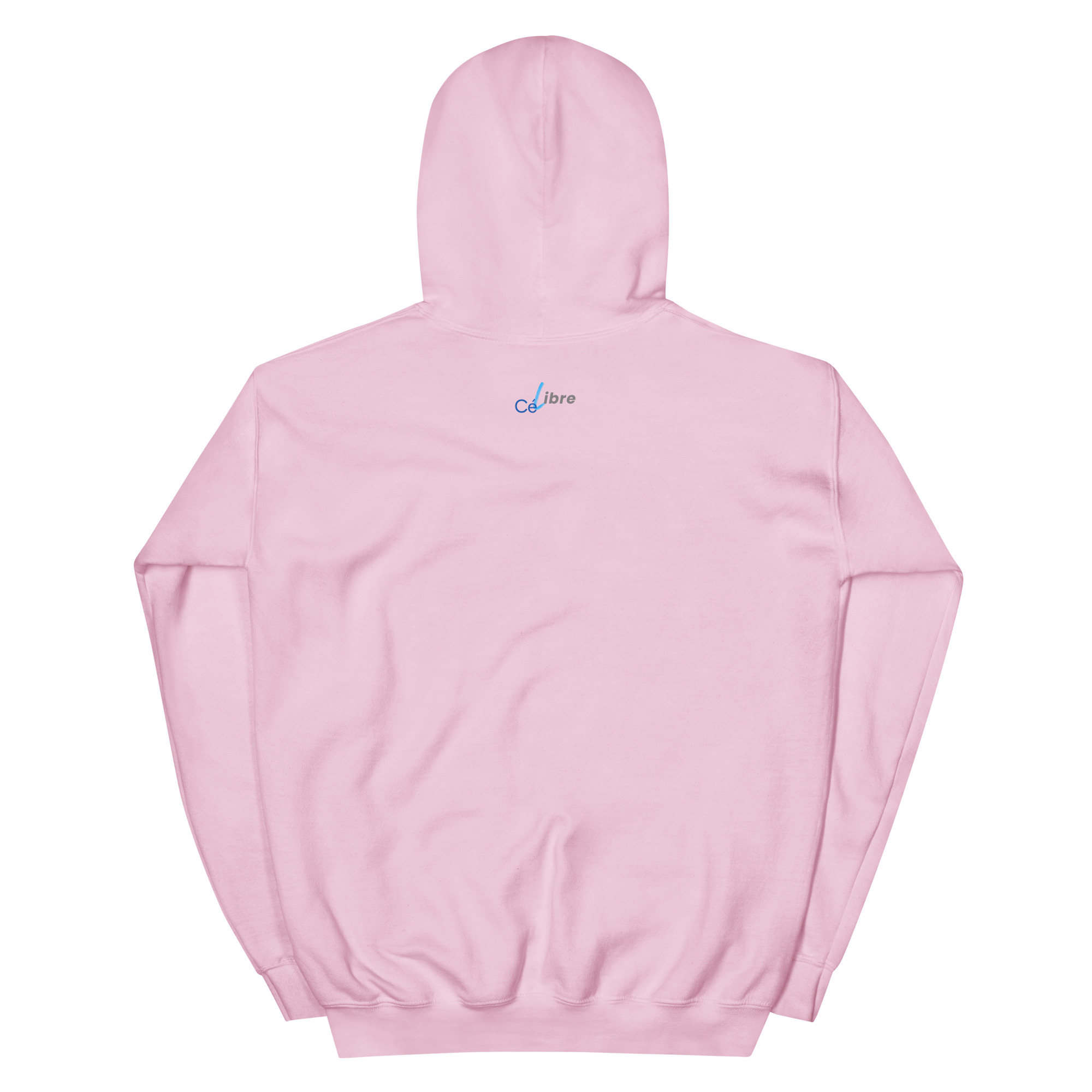 unisex-heavy-blend-hoodie-light-pink-back-6821f0dd47ac1.jpg